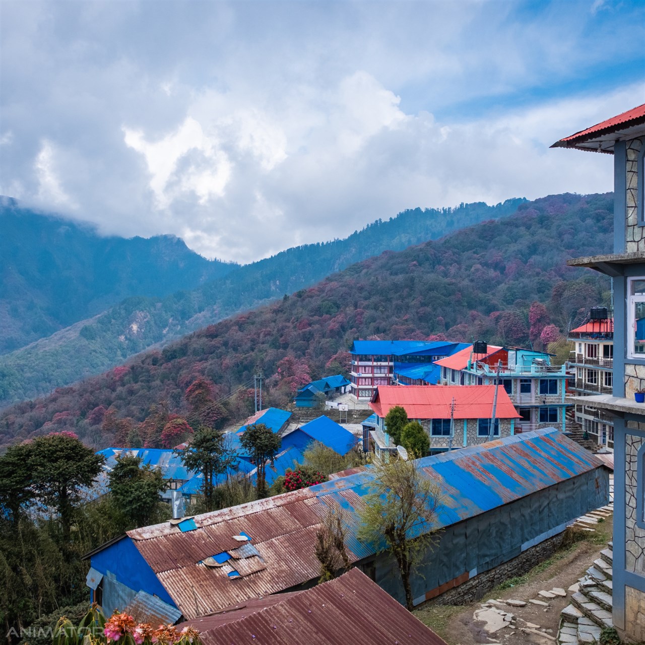 Annapurna Base Camp Trek&Joga