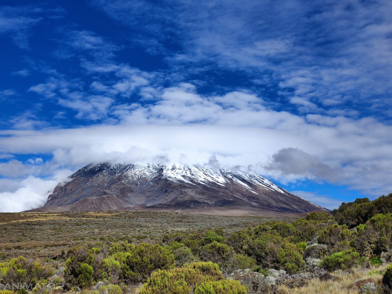 Trekking na Kilimandżaro