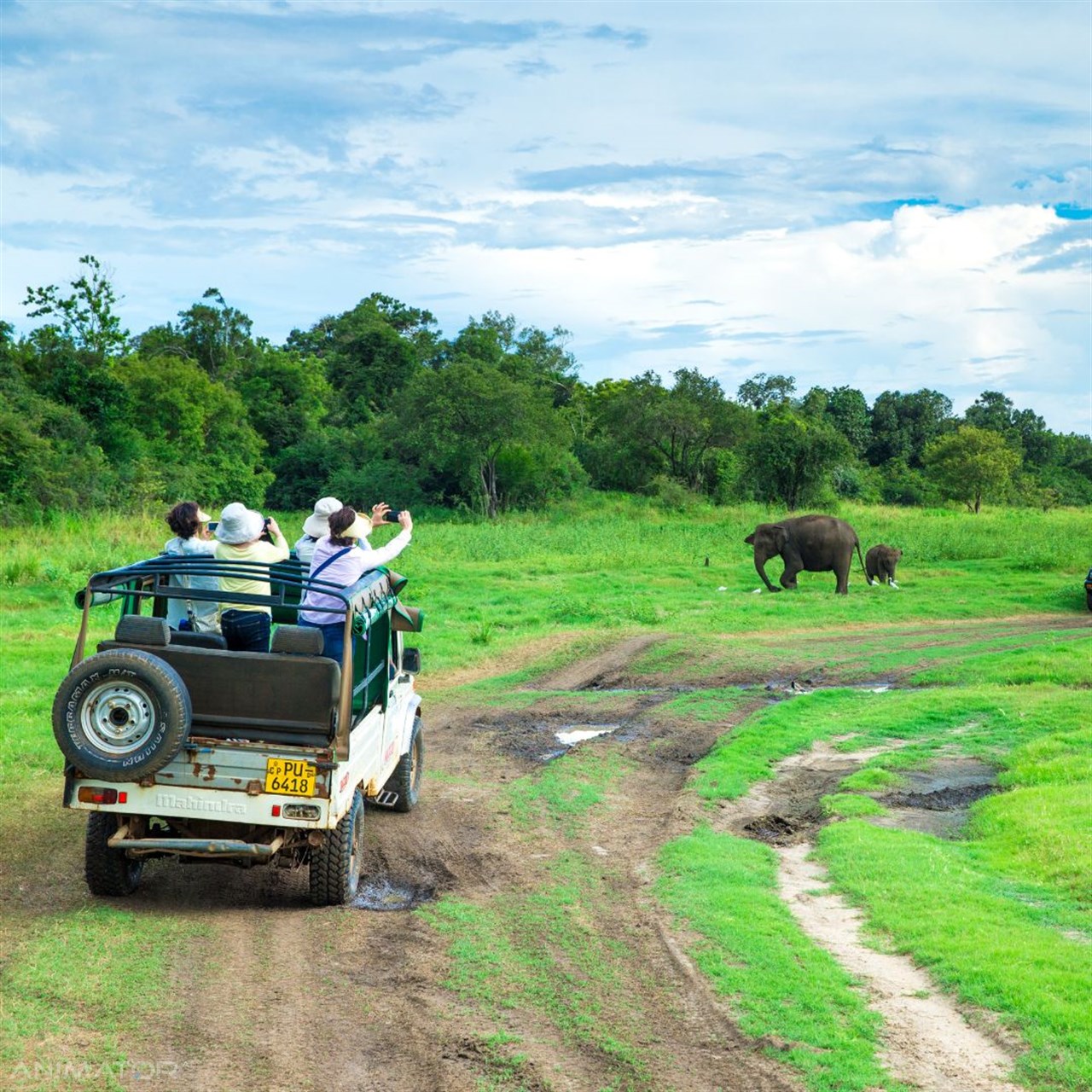 Sri Lanka - W Krainie Cejlońskiej Magii 