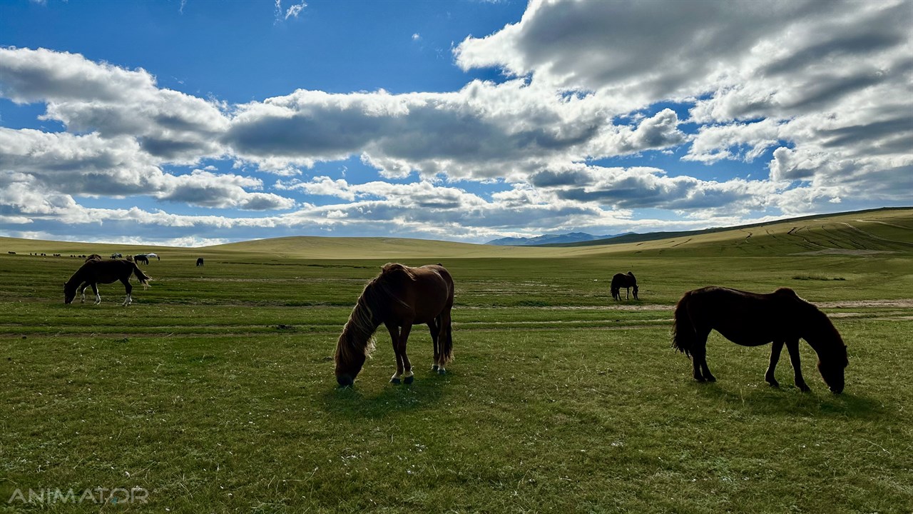 Mongolia